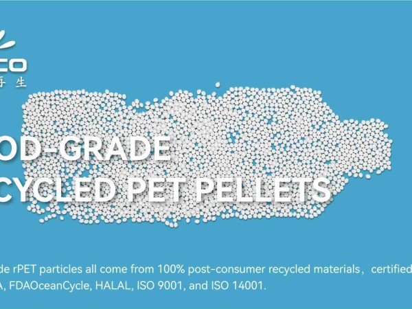 rPET Combines Performance, Versatile Applications, and Positive Environmental Impact