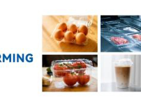 Harnessing the Power of Recycled PET Sheets in Thermoformed Packaging