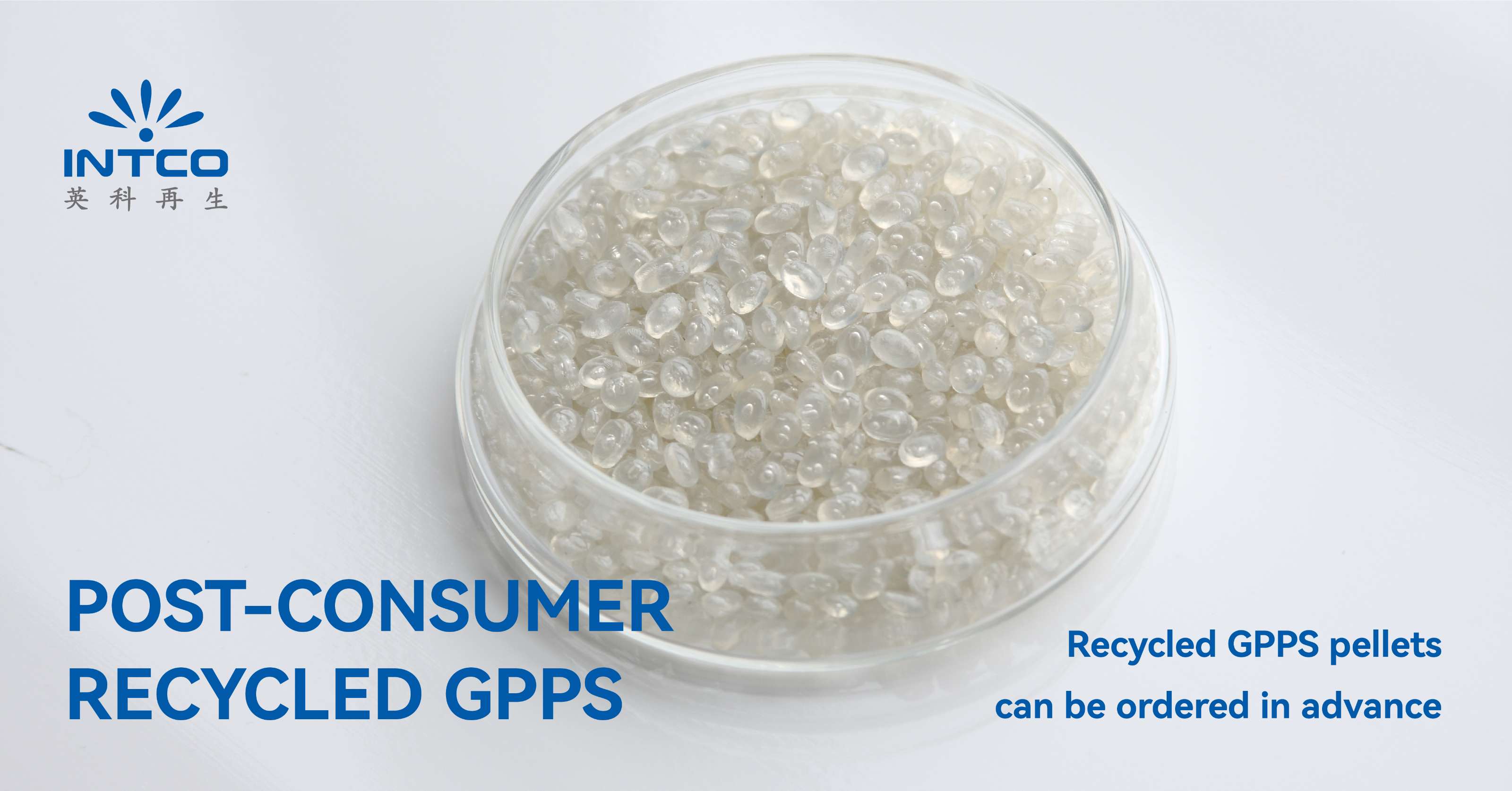 recycled PS pellets